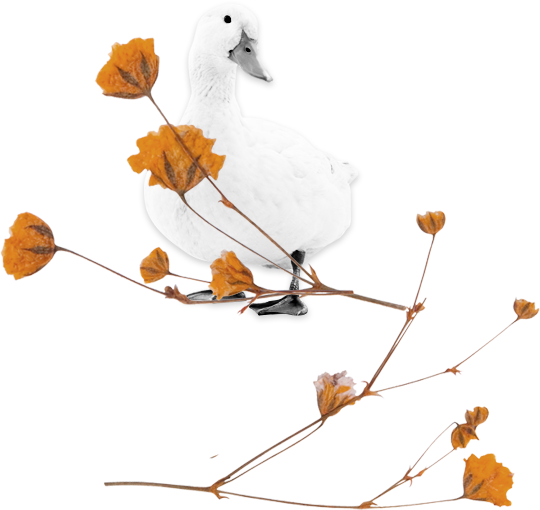 Clinical skin therapies surrealism art.